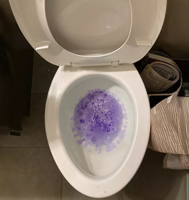 Dingy toilet before cleaning